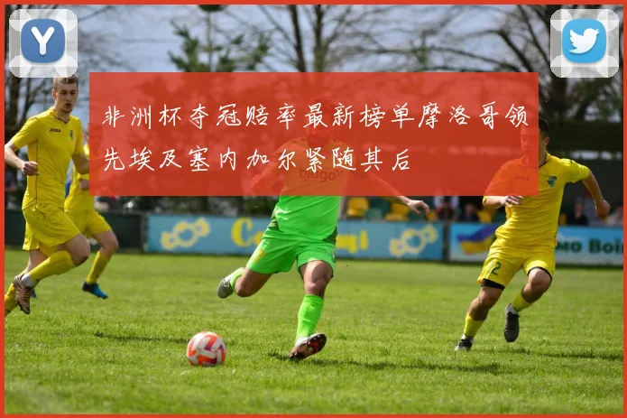 非洲杯夺冠赔率最新榜单摩洛哥领先埃及塞内加尔紧随其后