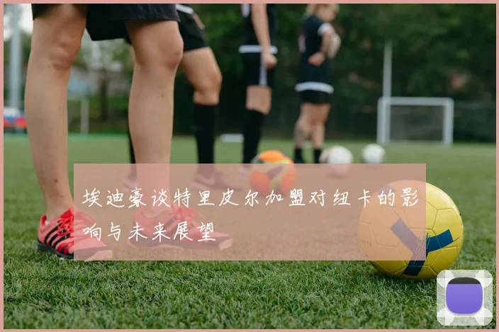 埃迪豪谈特里皮尔加盟对纽卡的影响与未来展望