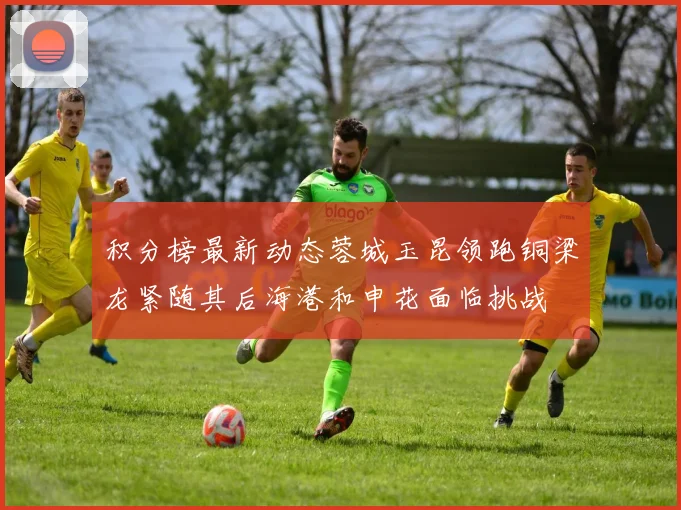 积分榜最新动态蓉城玉昆领跑铜梁龙紧随其后海港和申花面临挑战